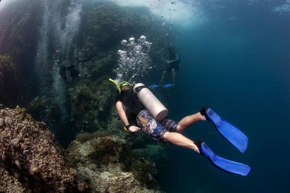 Plongée sous-marine à Sail Rock, île de Koh Tao, Thaïlande